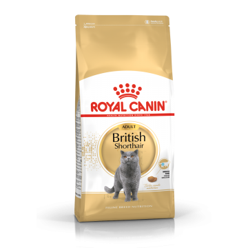 Royal Canin Dry Food Breed Nutrition British Shorthair 4kg